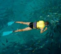 Snorkelling